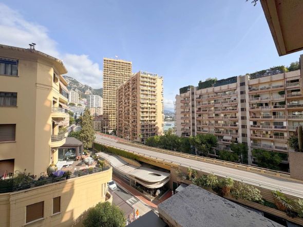 appartement de luxe 2 Pièces en vente sur MONACO (98000)