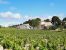 Vente Propriété viticole La Livinière 12 Pièces 2300 m²