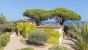 luxury provencale house 7 Rooms for sale on GRIMAUD (83310)