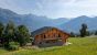 luxury chalet 8 Rooms for sale on COMBLOUX (74920)